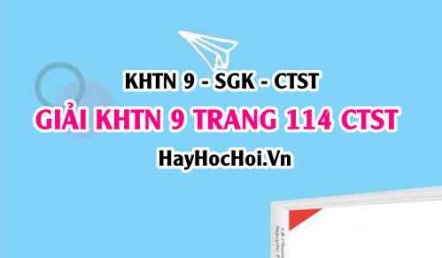 Giải KHTN 9 trang 114 Chân trời sáng tạo SGK